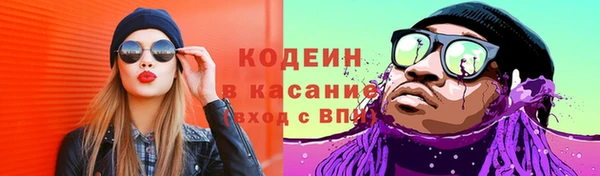 ГАЛЛЮЦИНОГЕННЫЕ ГРИБЫ Алзамай