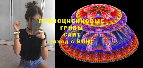 ГАЛЛЮЦИНОГЕННЫЕ ГРИБЫ Алзамай