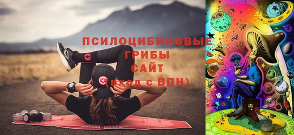 ГАЛЛЮЦИНОГЕННЫЕ ГРИБЫ Алзамай