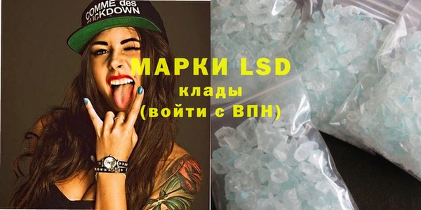 ГАЛЛЮЦИНОГЕННЫЕ ГРИБЫ Алзамай
