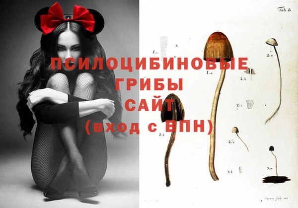 ГАЛЛЮЦИНОГЕННЫЕ ГРИБЫ Алзамай